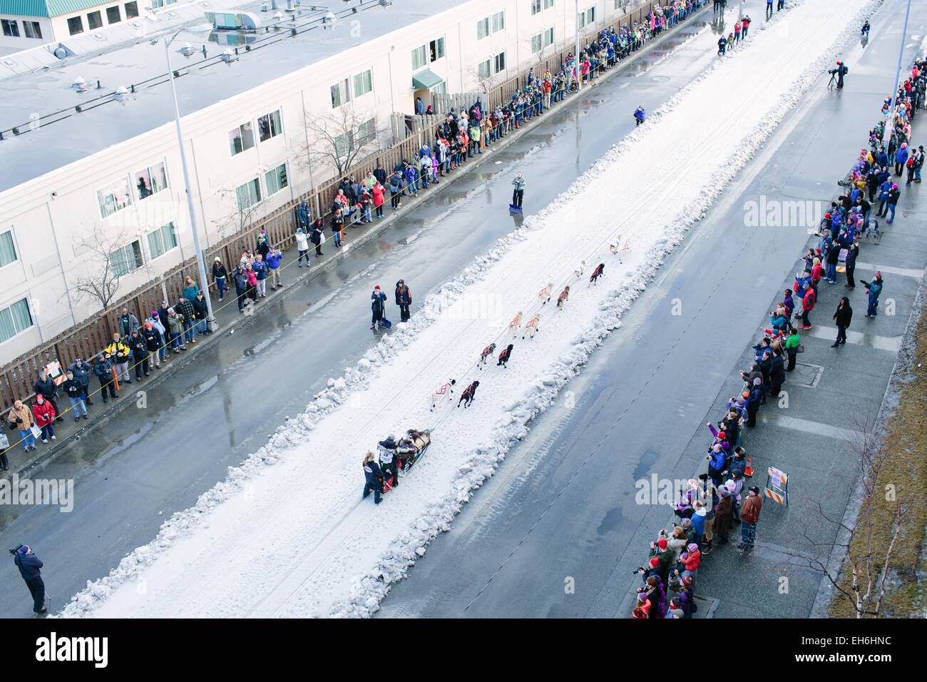 Scott Janssen, known as the «Mushin' Mortician,» waves to the crowd as he mushes down Fourth Avenue in Anchorage Alaska at the Iditarod's Ceremonial Start on March 7, 2015. The race will resume with the official start in Fairbanks on March 9. Photo: Joshua Corbett/dpa (zu dpa: Alaska, Land des Hechelns: «Das härteste Schlittenrennen der Welt» vom 08.03.2015) Stock Photo