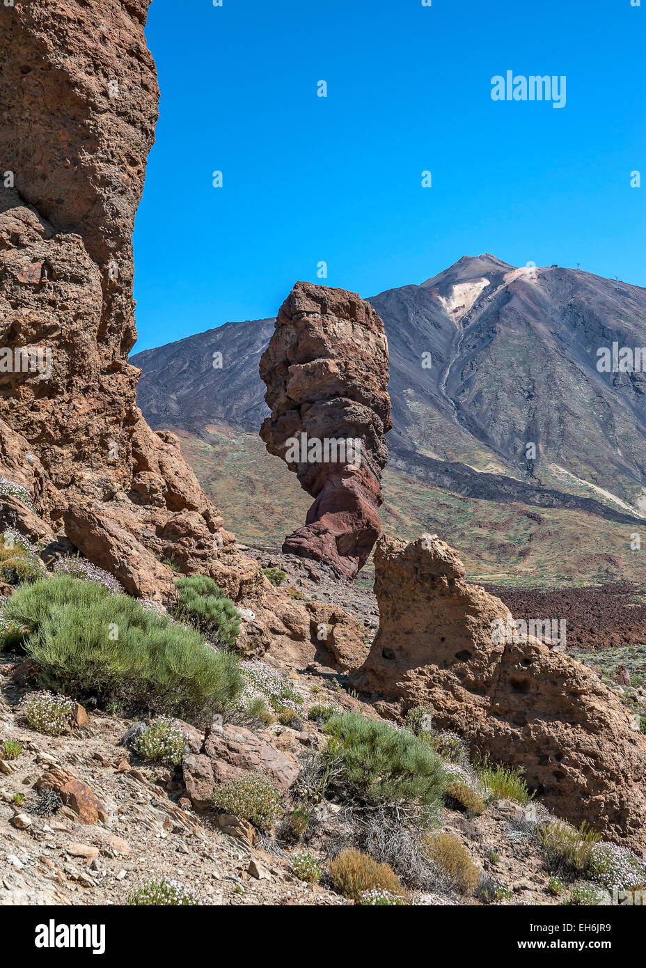 Canary Islands , Tenerife, volcano Teide. Lunar landscape of lava rocks of different colors . Rock the finger of God . Stock Photo