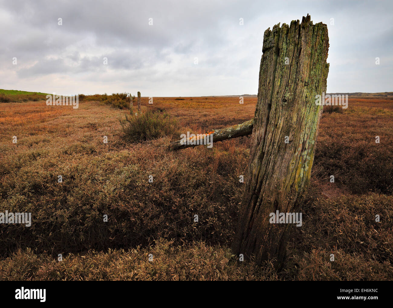 An old wooden post in the marshes at Burnham Overy on the North Norfolk coast. Stock Photo