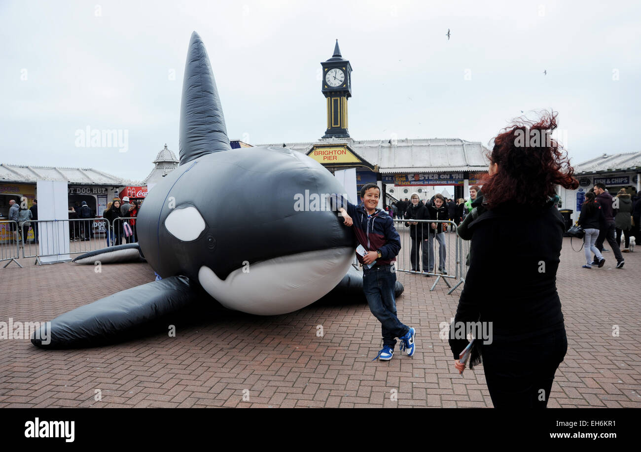Brighton, UK. 8th March, 2015. An inflatable whale causes interest by Brighton Pier today which is part of this years WhaleFest and is taking place in Brighton this week and is the World's  largest Whale and Dolphin Festival  Credit:  Simon Dack/Alamy Live News Stock Photo