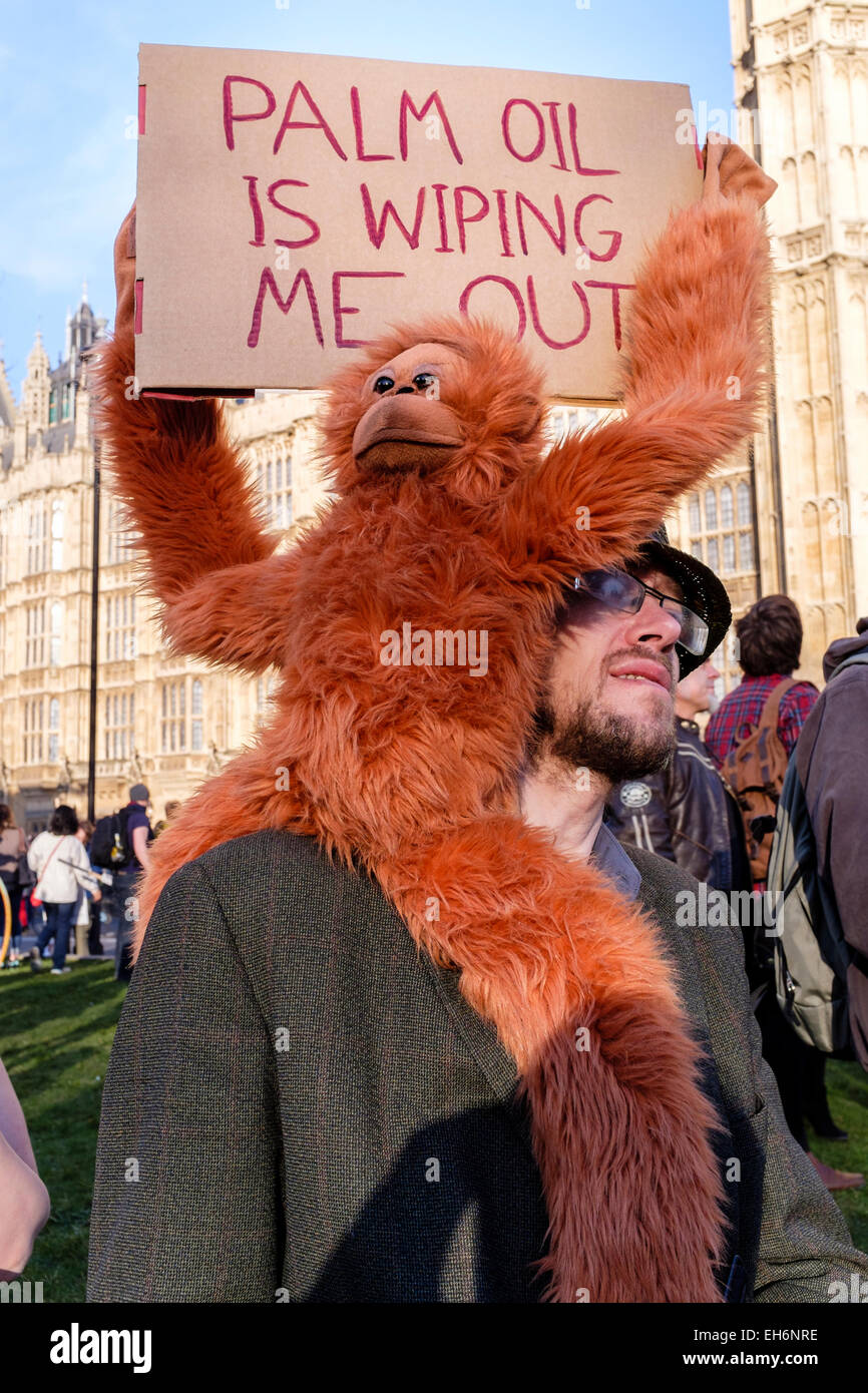 A protester against the palm oil industry demonstrates outside parliament. London, UK. Stock Photo