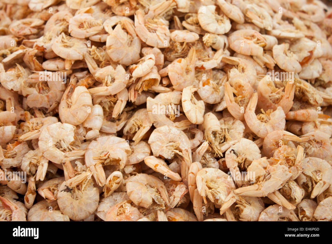 A lot of dried prawns, in a fish market in Vietnam Stock Photo Alamy