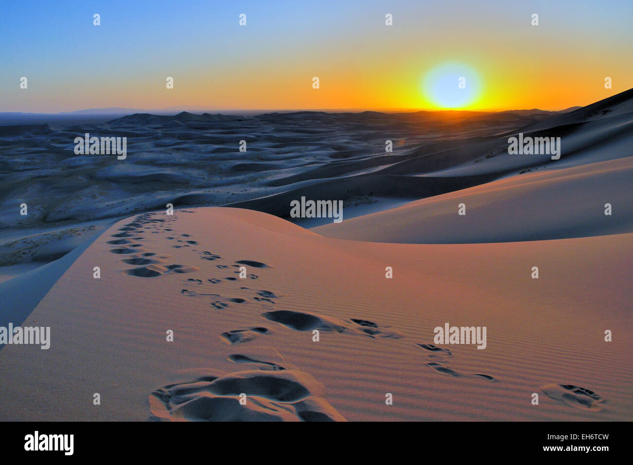 Khongoryn Els Sand Dunes At Sunset With Footsteps, Gobi Desert Stock Photo