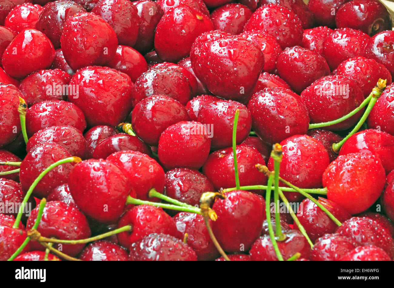 Fresh cherries Stock Photo