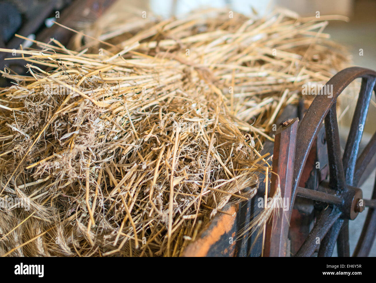 Bundle of hay hi-res stock photography and images - Alamy