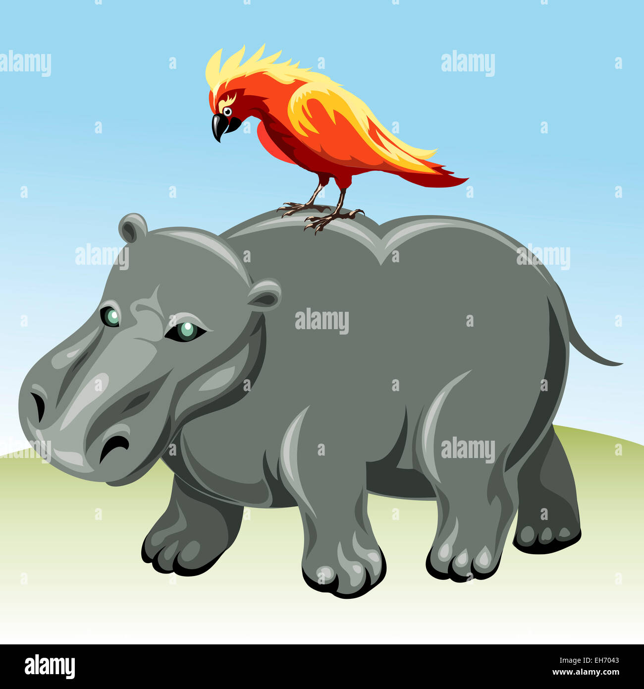 Funny illustration with walking hippopotamus and parrot on his back as  allegory of family relationship drawn in cartoon style Stock Photo - Alamy