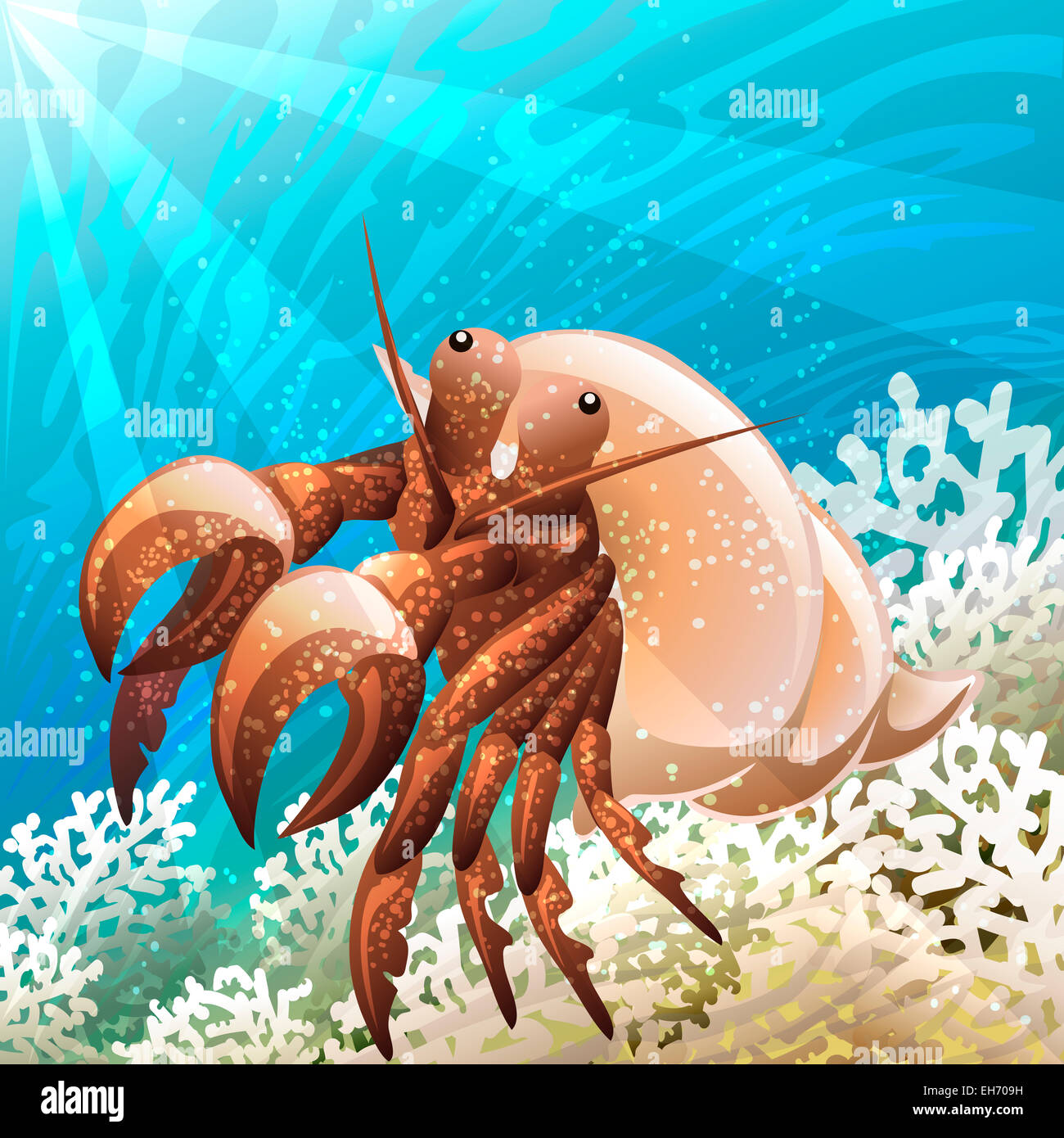 Illustration with hermit crab in coral reef against seabed background drawn in cartoon style Stock Photo