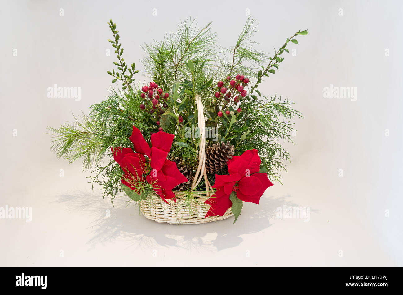 Christmas basket arrangement with poinsettia and evergreen greenery with light background Stock Photo