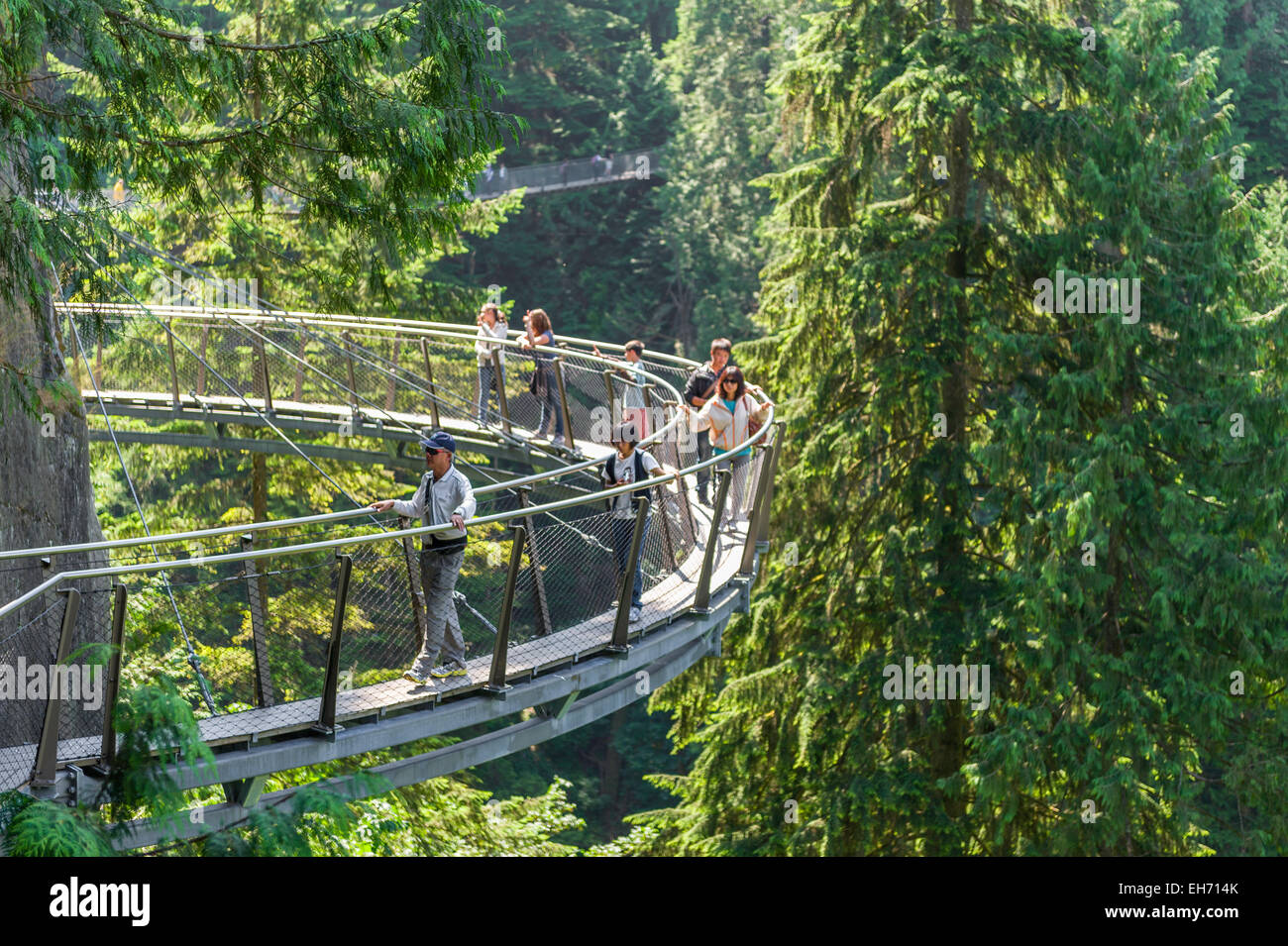Detail of the Cliff Walk at Capilano Suspension Bridge, North Vancouver