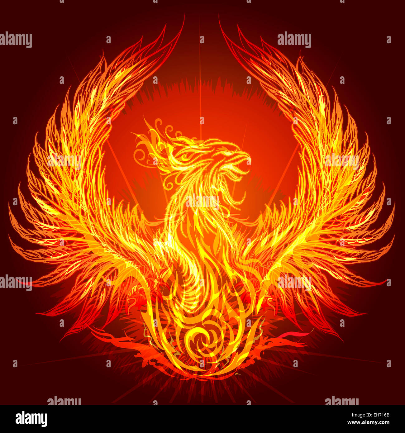 Illustration with burning phoenix drawn in heraldic style Stock Photo