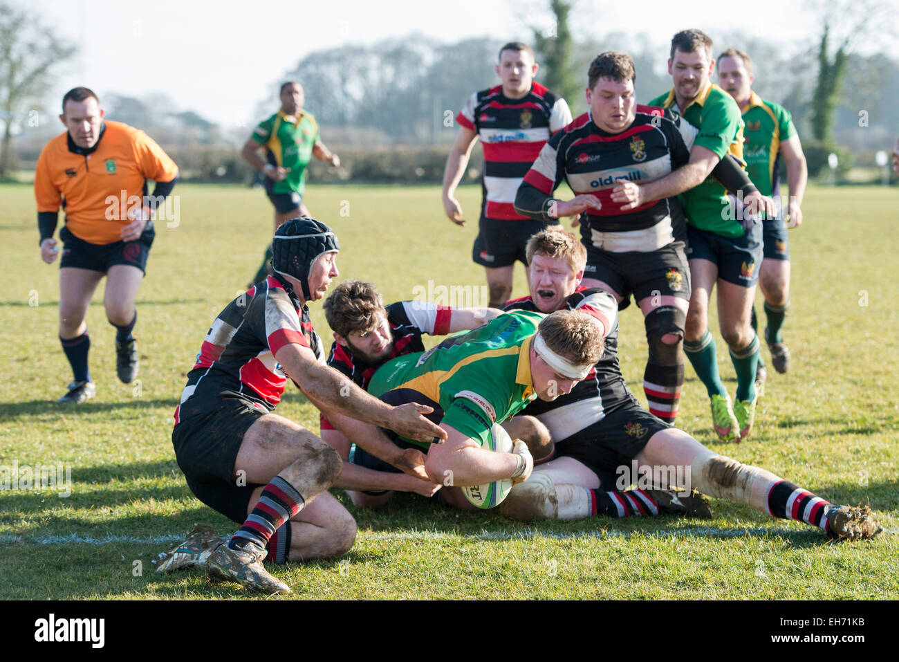 Rugby player scoring try - Dorset - England Stock Photo ...