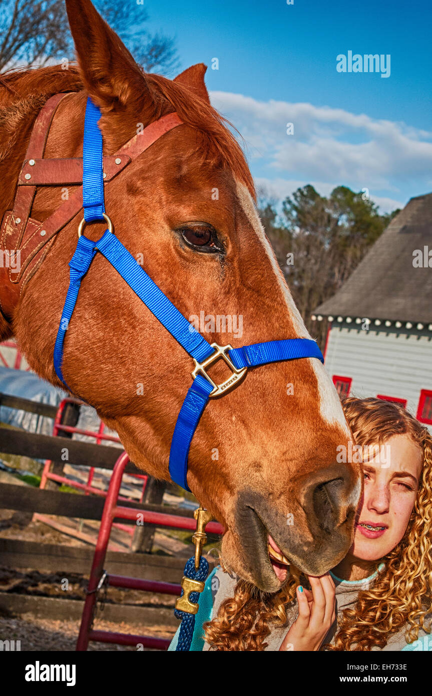 Horse show competition Stock Photo Alamy