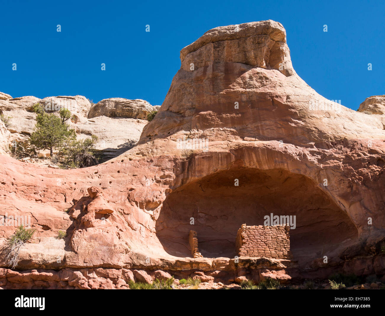 Saddlehorn Pueblo, Sand Canyon, Canyons of the Ancients National