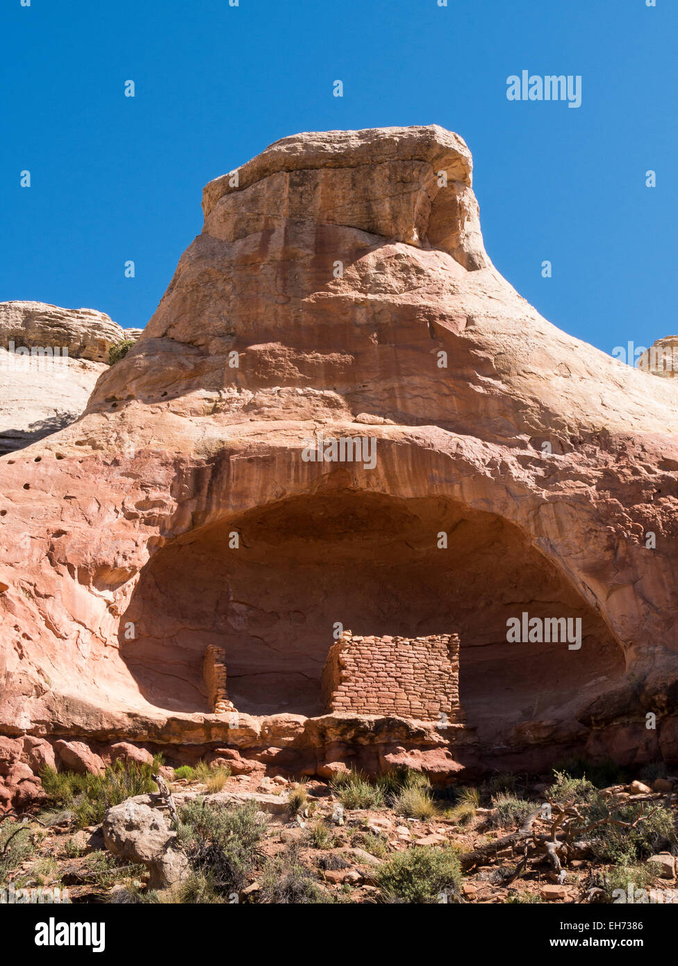 Saddlehorn Pueblo, Sand Canyon, Canyons of the Ancients National