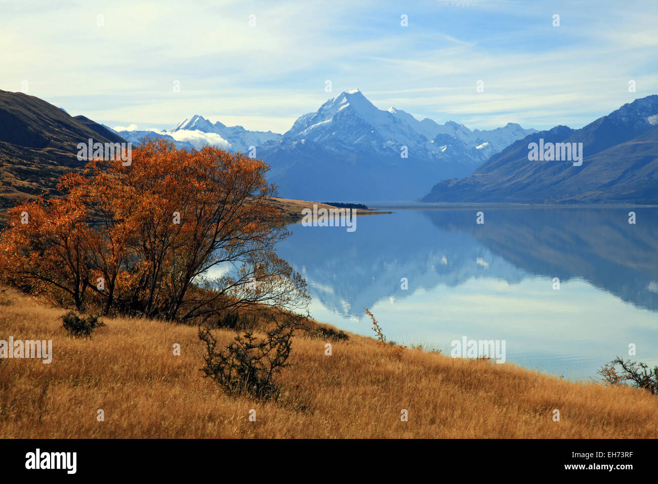 highest mountain of new zealand