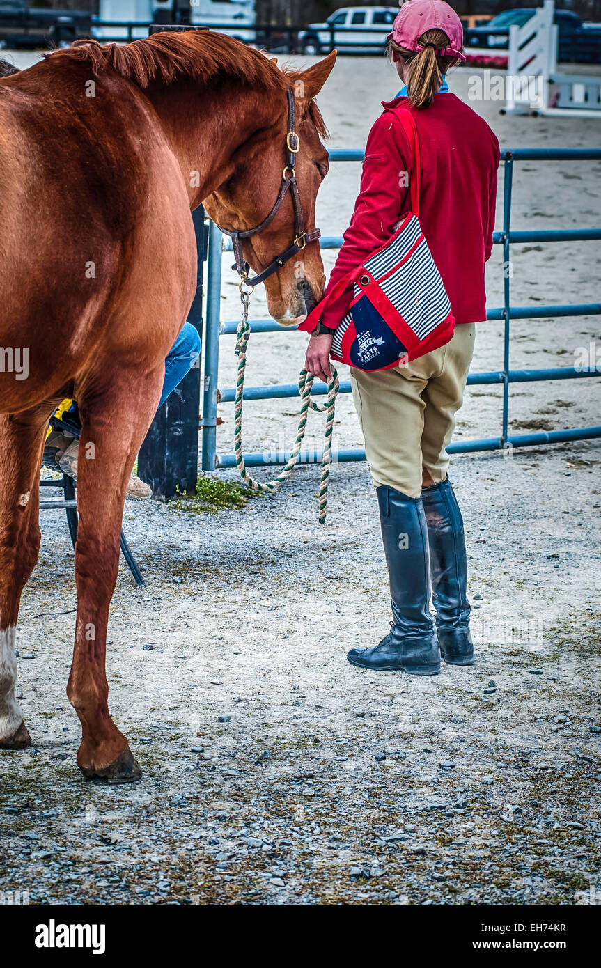 Horse show competition Stock Photo Alamy