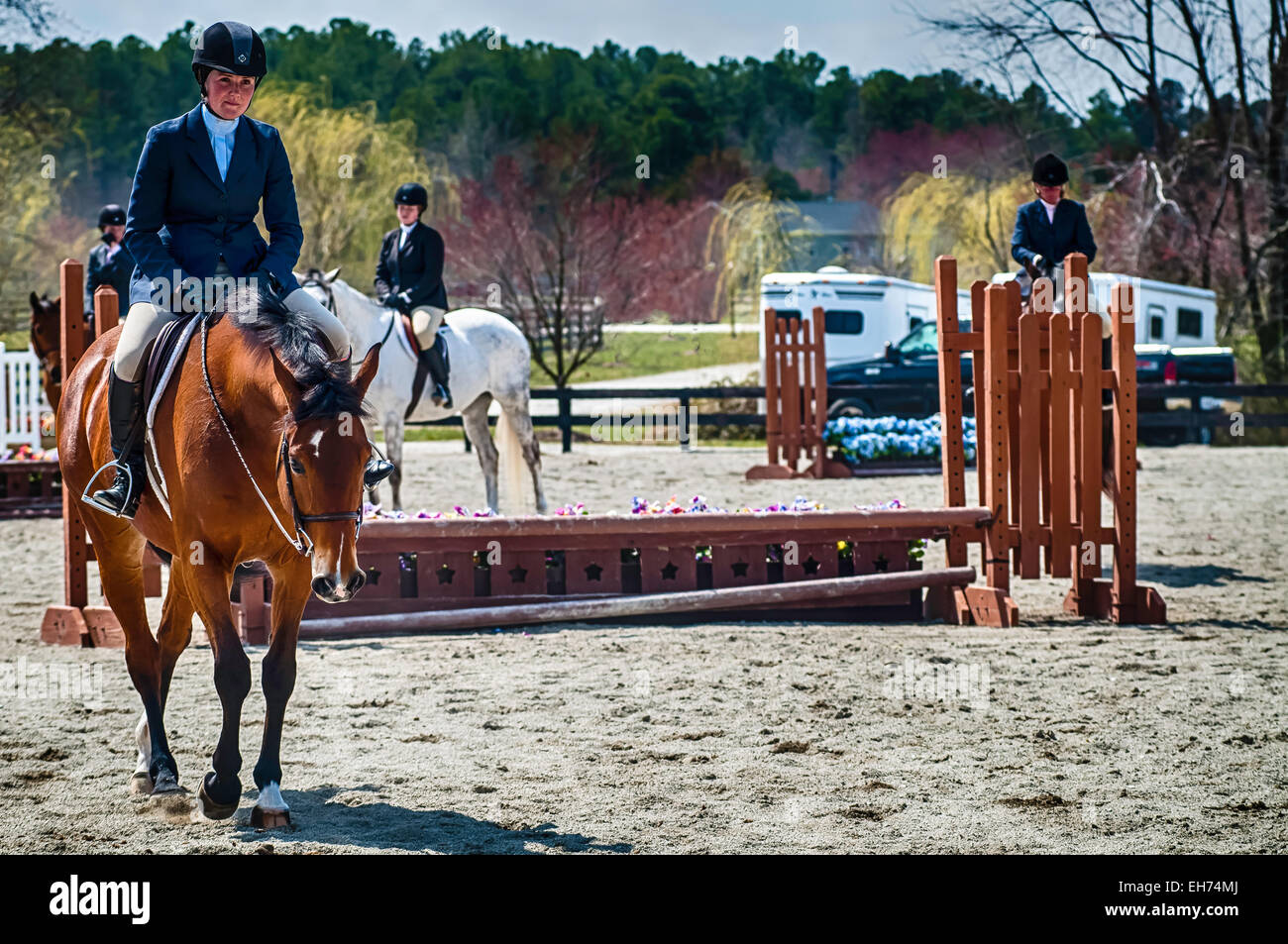 Horse show competition Stock Photo Alamy