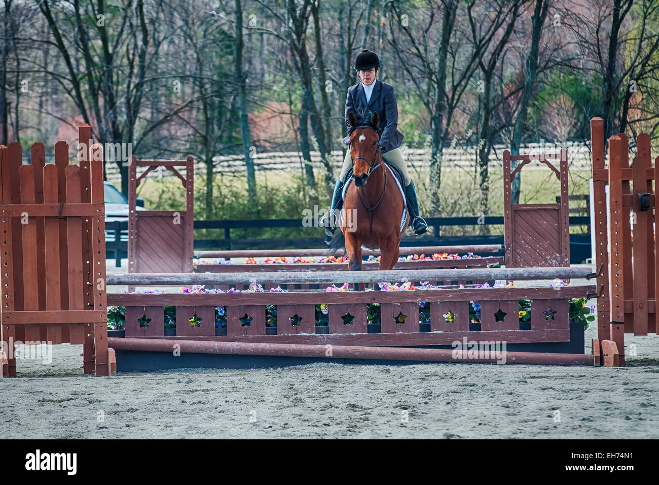 Horse show competition Stock Photo Alamy