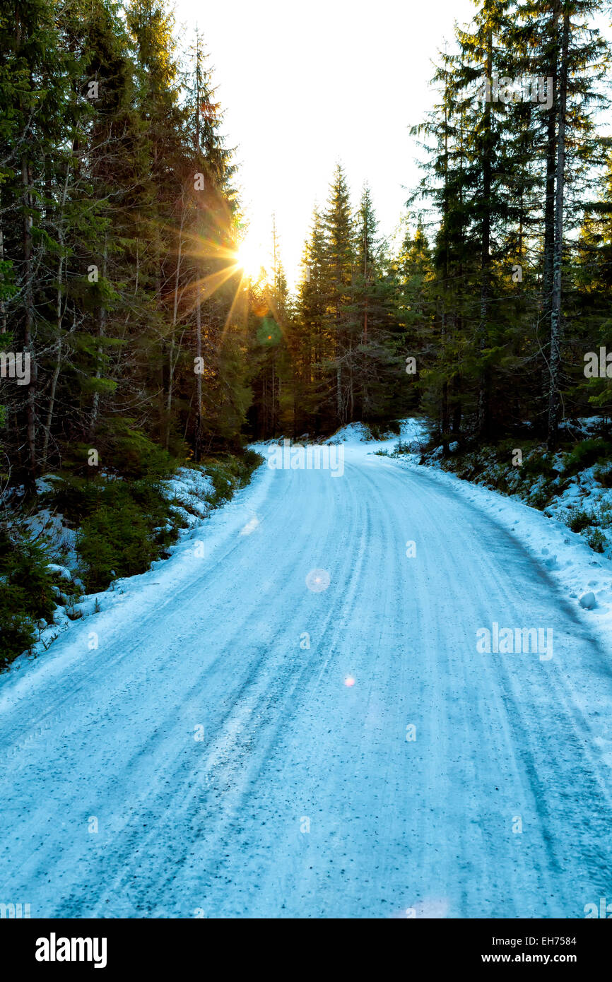 Snowy road in a forest winding through the trees with a low sun Stock ...