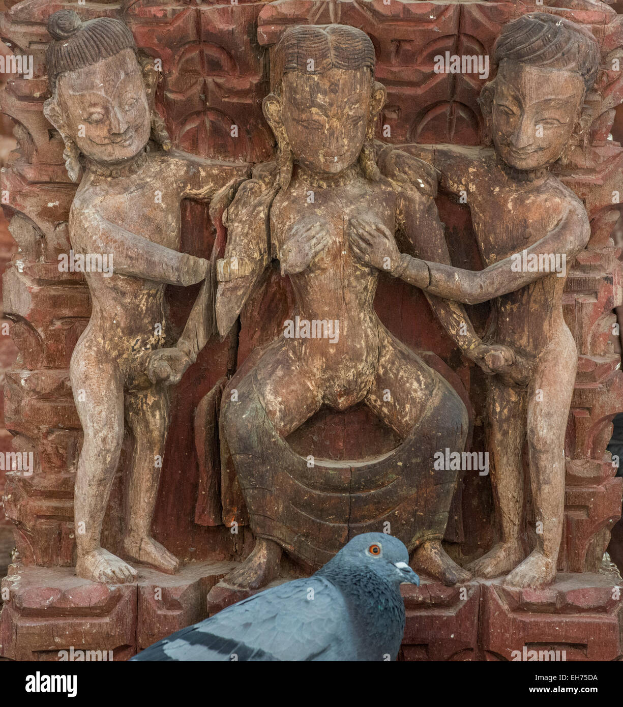 Pigeon in front of Kamasutra carvings, Jagannath Temple, Kathmandu Stock Photo
