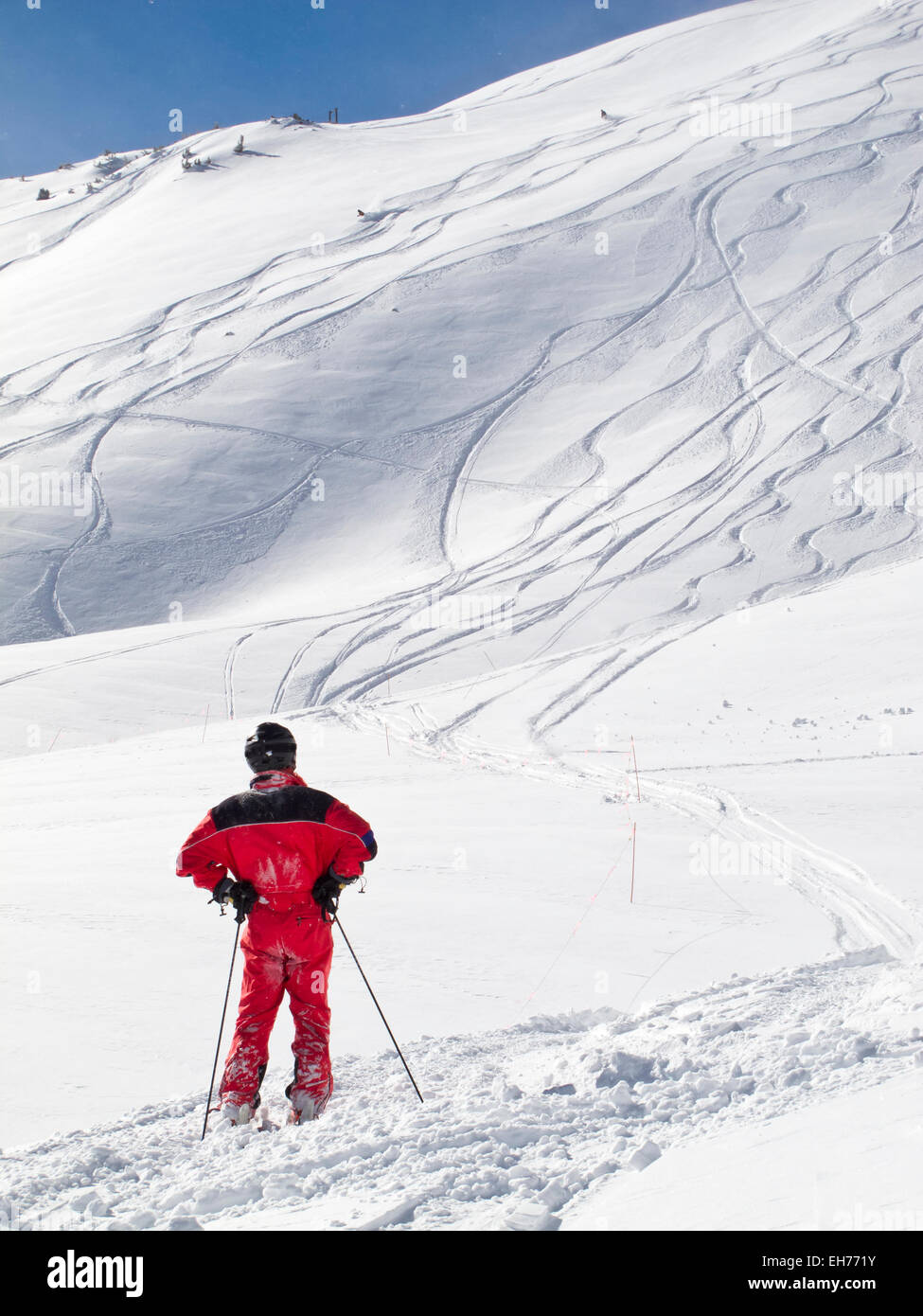 A person looks back at the beautiful powder field that he just skied ...