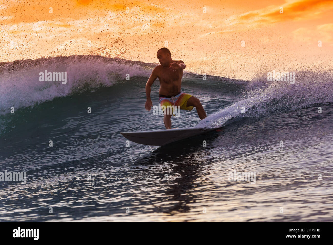 Surf surfing surfer hi-res stock photography and images - Alamy