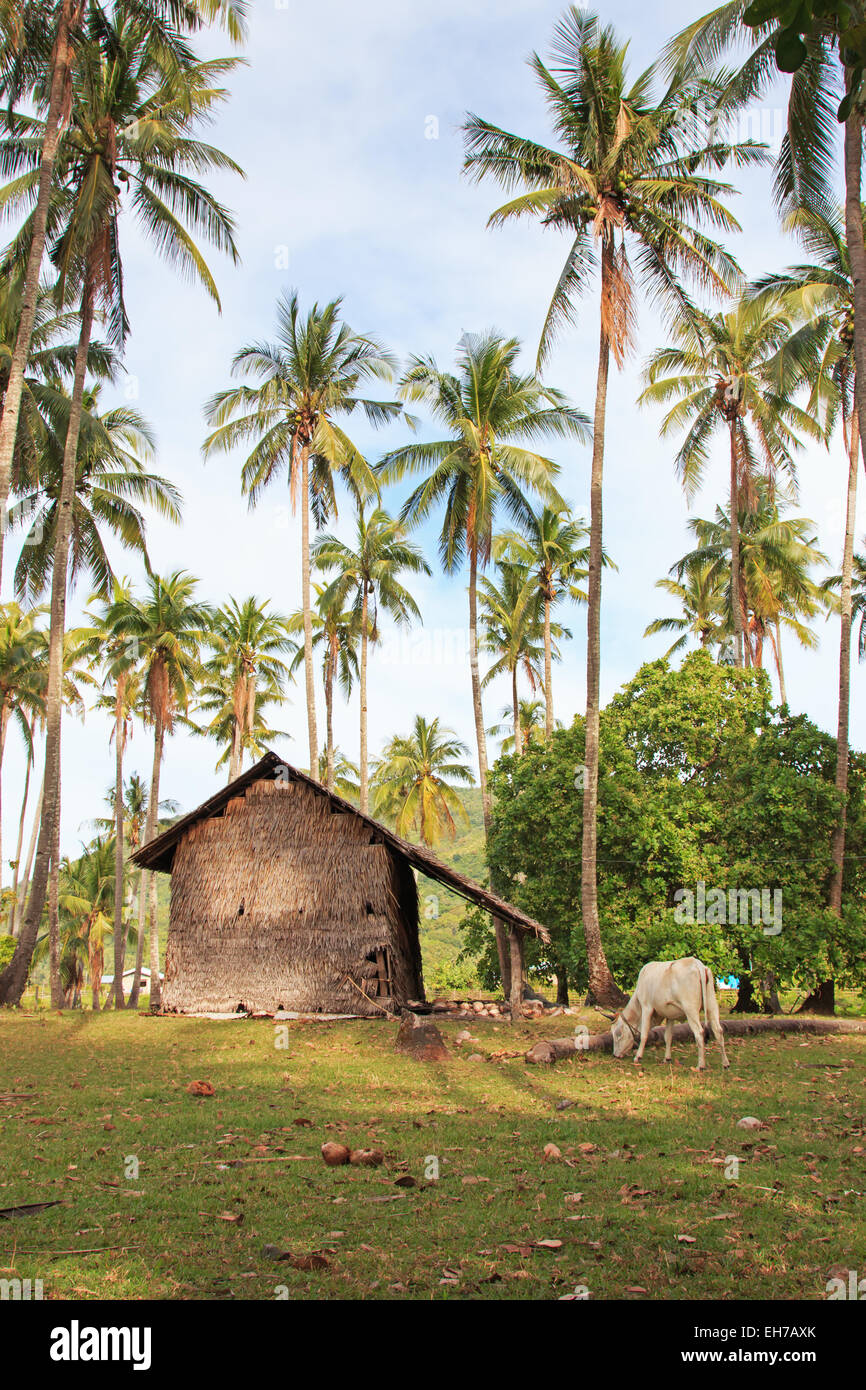 Traditional village of Palawan, in the Philippines Stock Photo