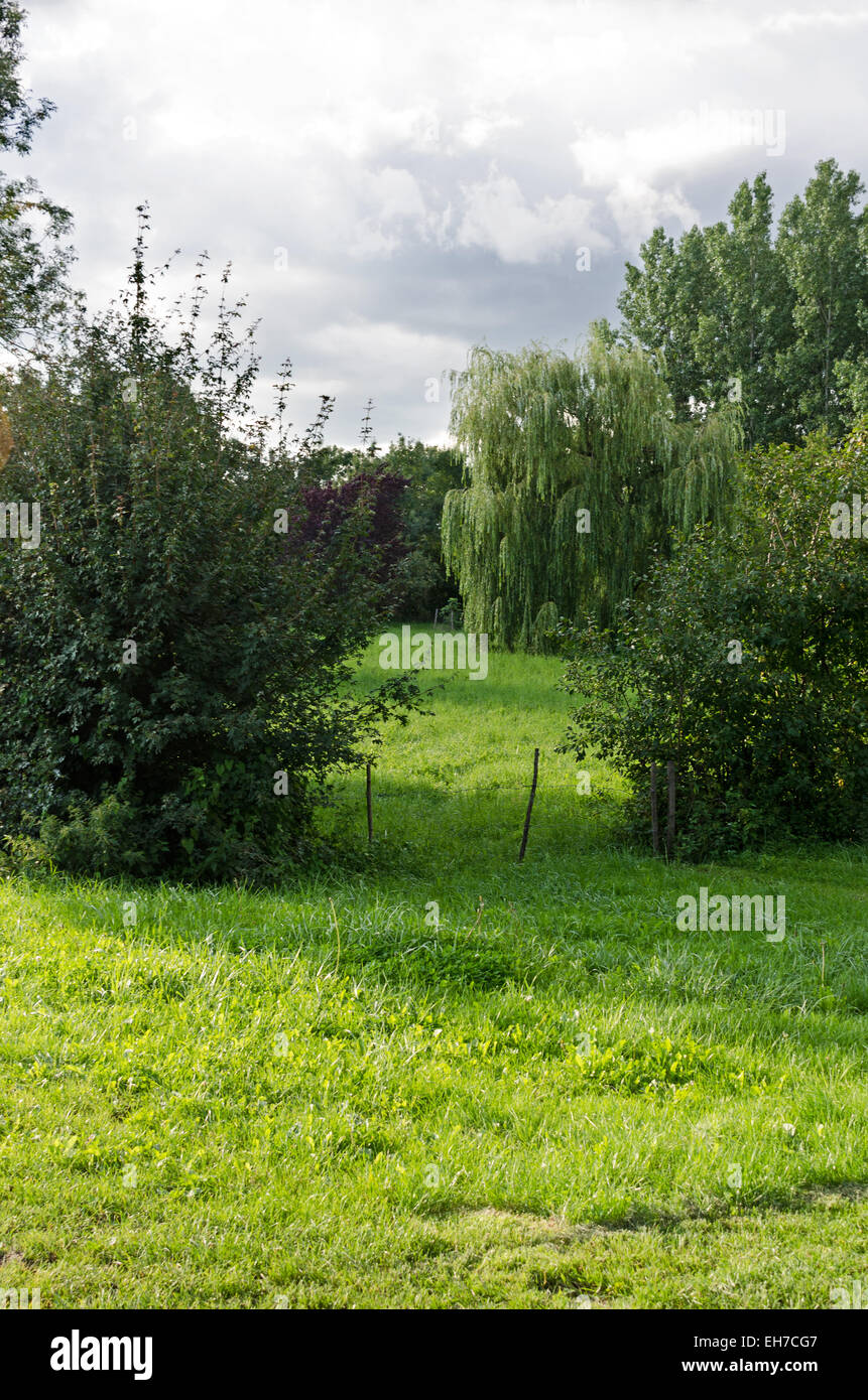 Lush green meadow hi-res stock photography and images - Alamy