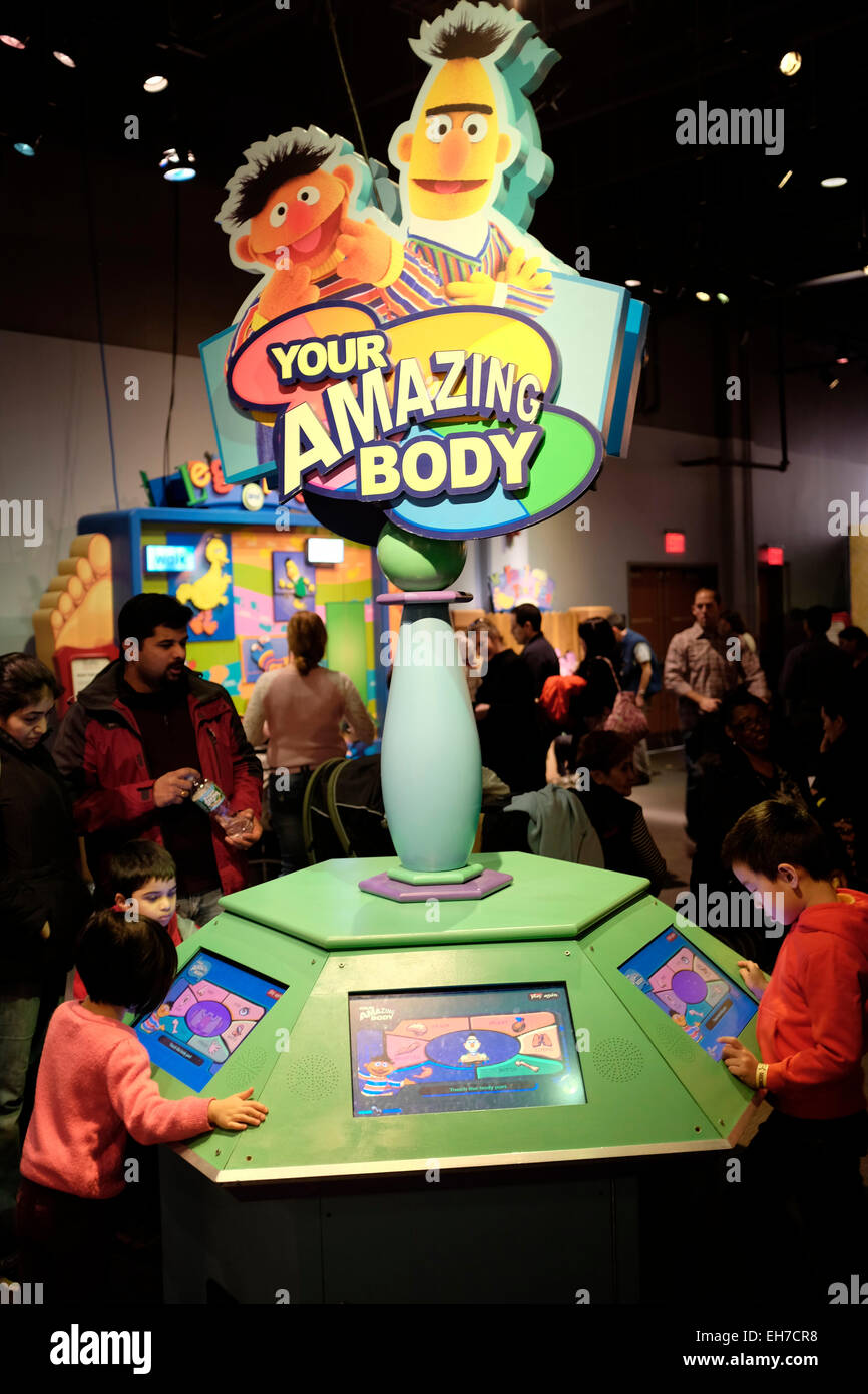 Your Amazing Body exhibition in Liberty Science Center in New Jersey USA Stock Photo