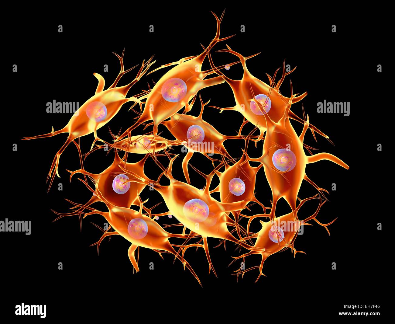 Neural tissue, artwork Stock Photo