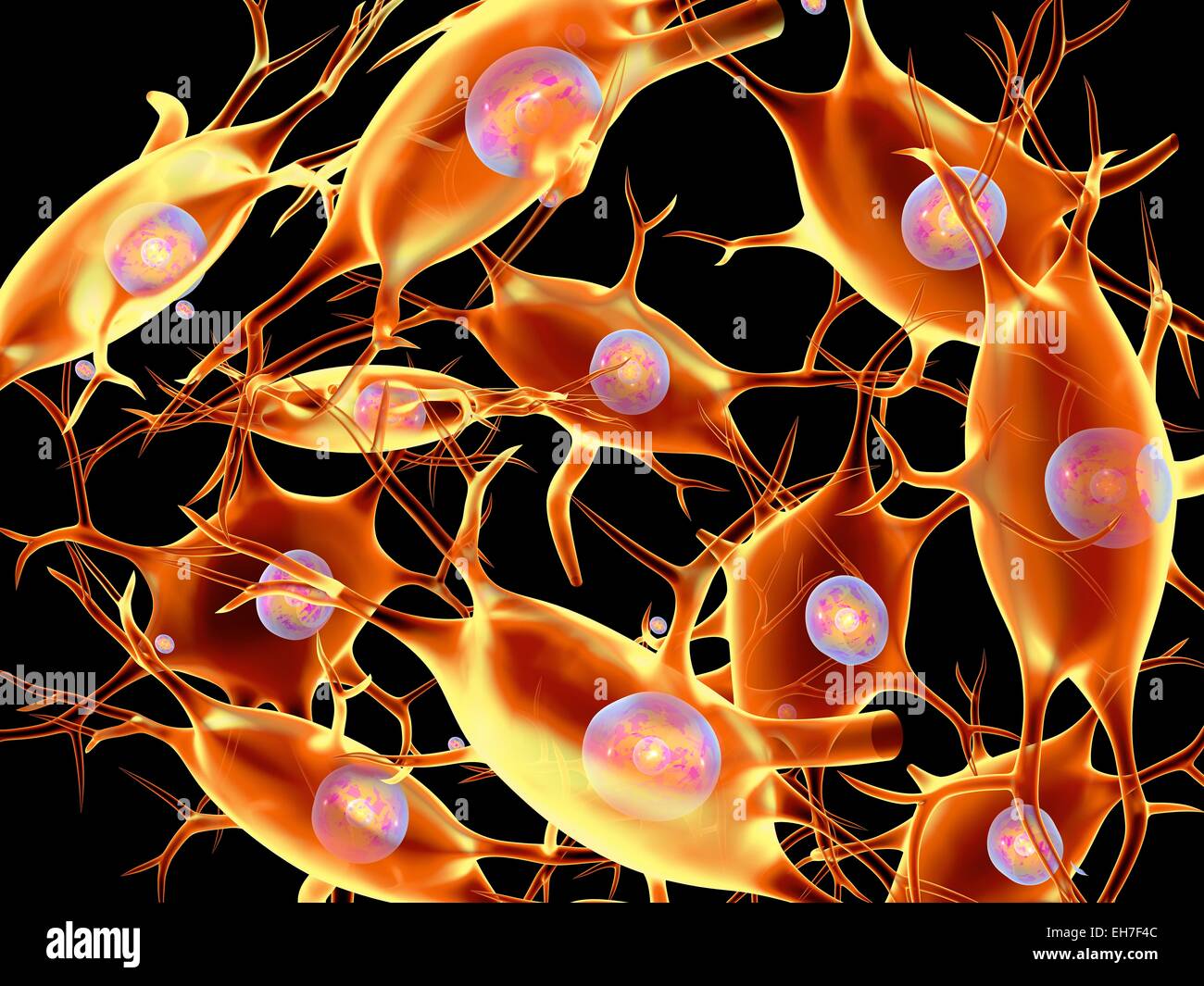 Neural tissue, artwork Stock Photo