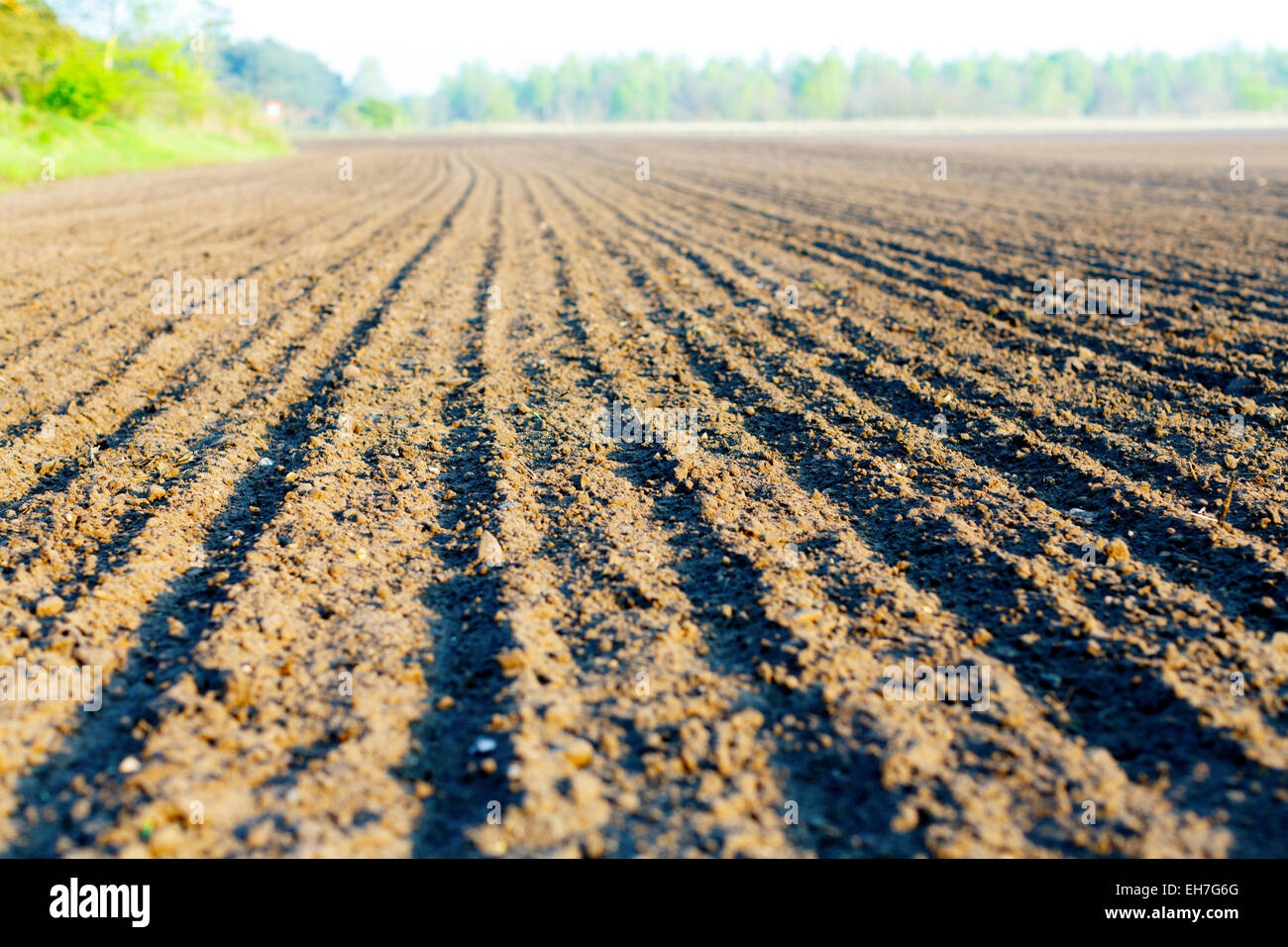 Freshly ploughed field Stock Photo
