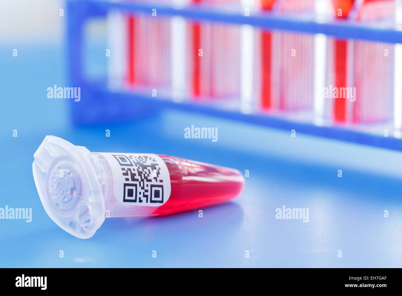 Eppendorf tube qr code hi-res stock photography and images - Alamy
