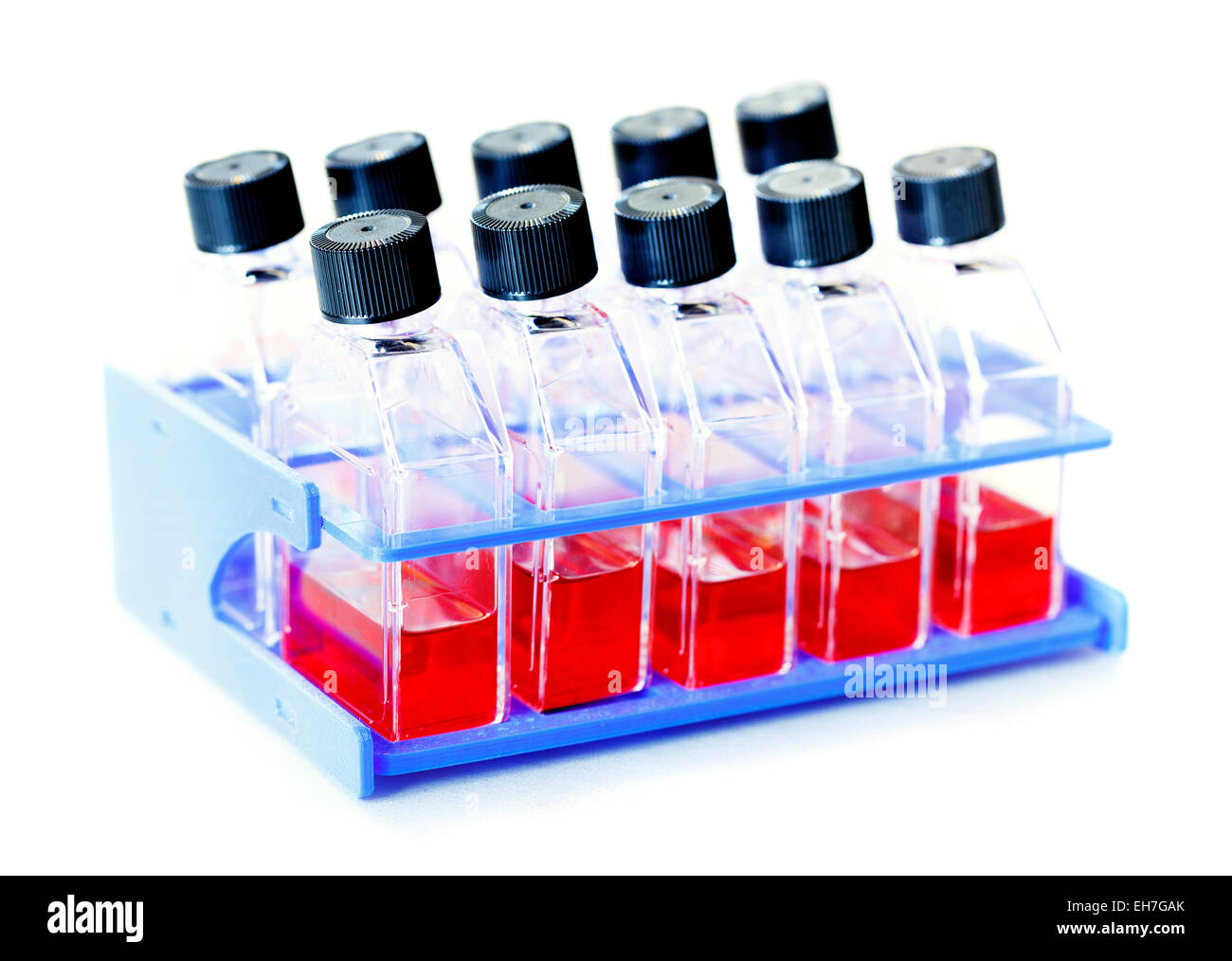 Blood bottles hires stock photography and images Alamy