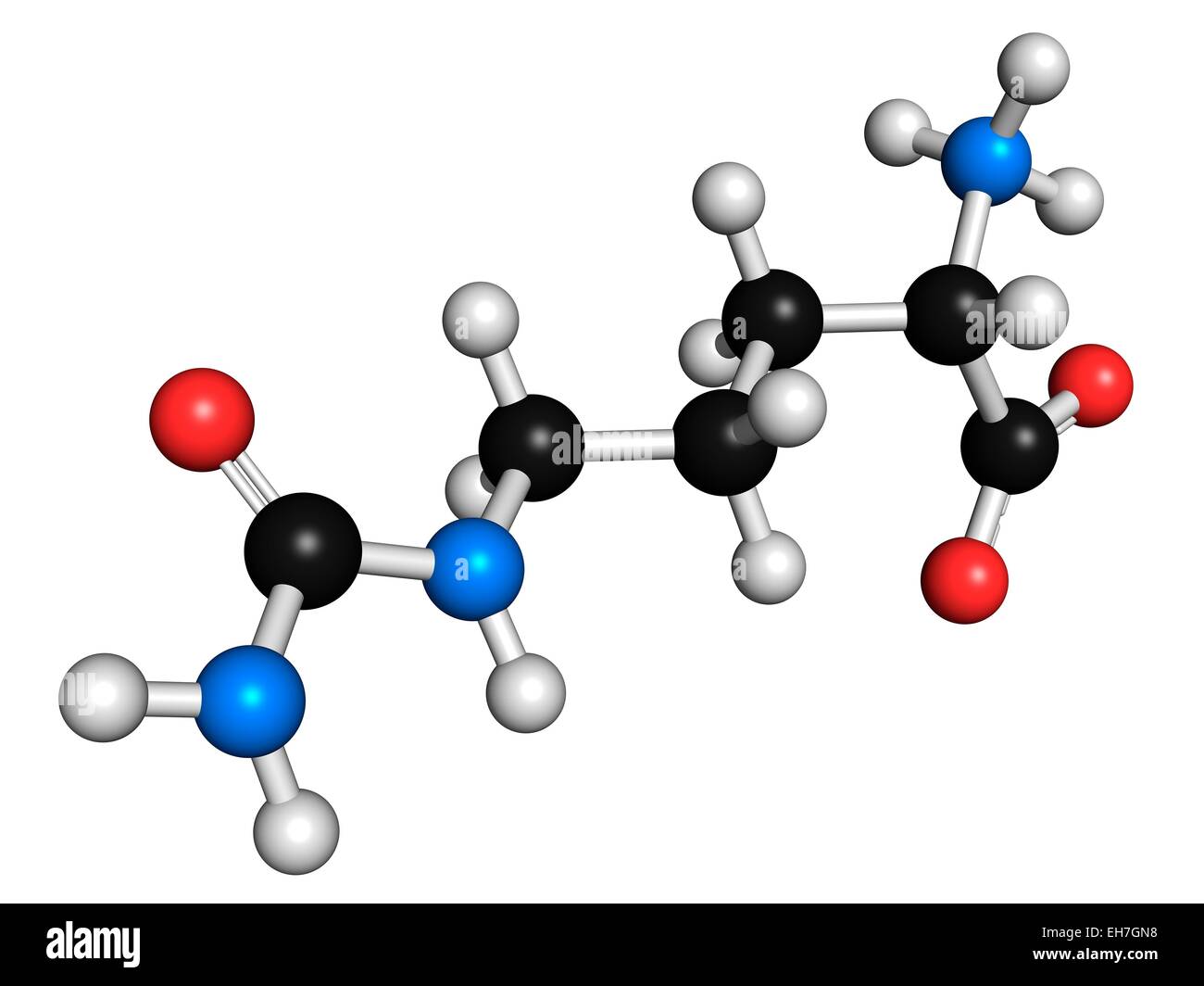 Citrulline amino acid molecule Stock Photo Alamy