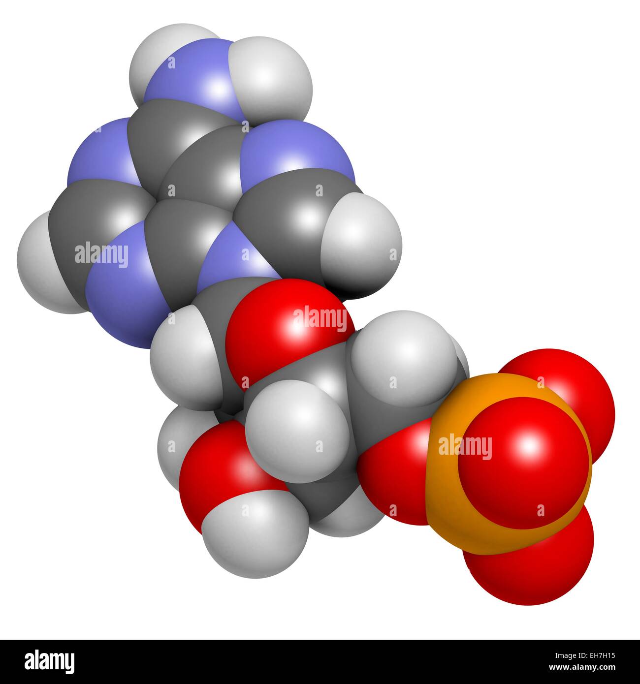 Adenosine monophosphate molecule Stock Photo - Alamy