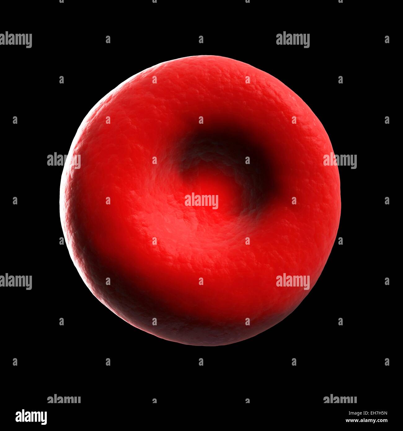 Human red blood cell, illustration Stock Photo - Alamy
