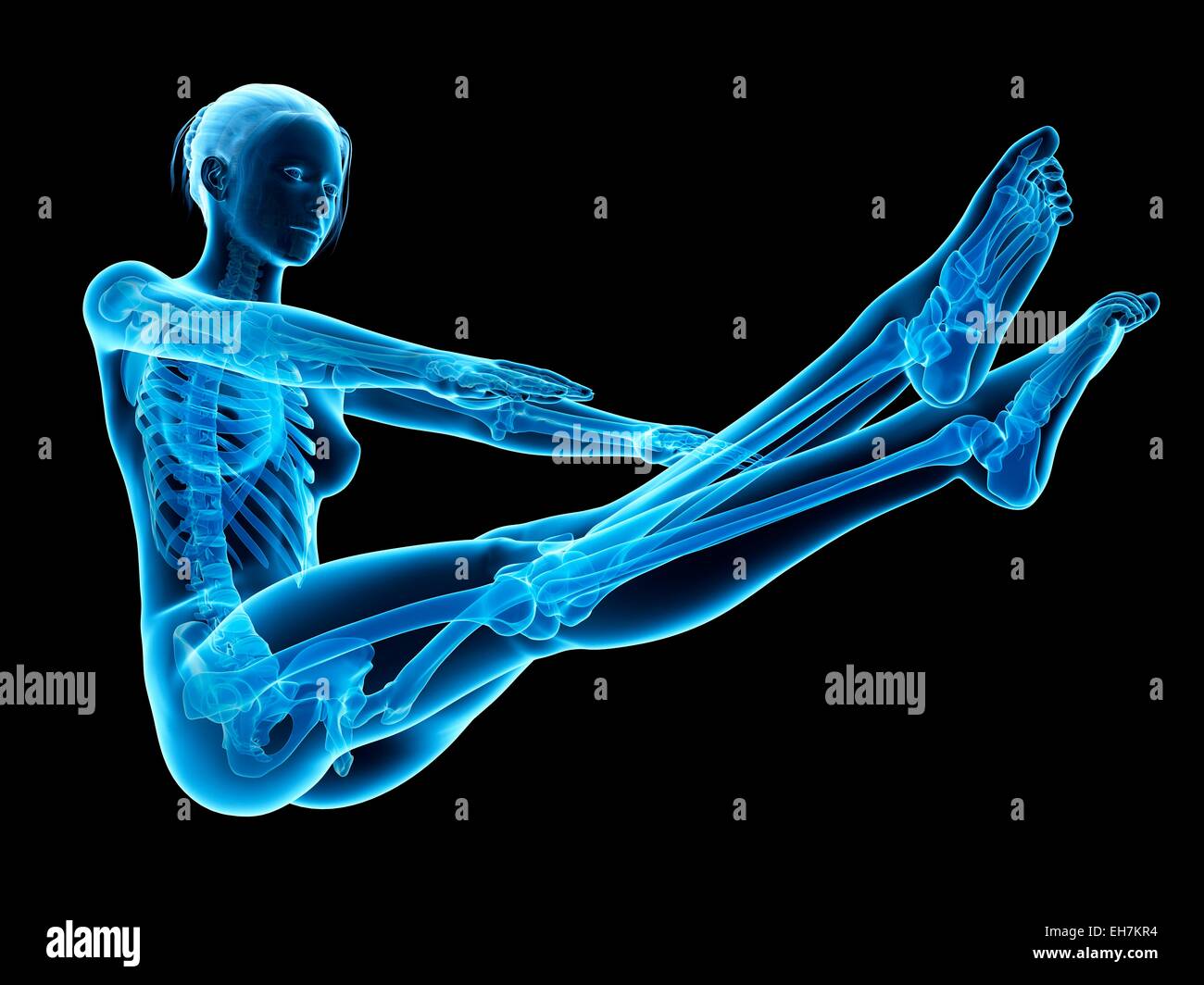 Skeleton Horizontal Skeletal Horizontal High Resolution Stock Photography and Images - Alamy