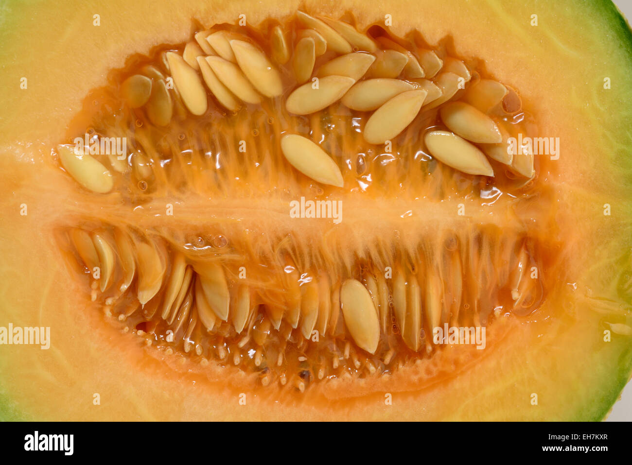 Cross Section of Honeydew Melon Stock Photo