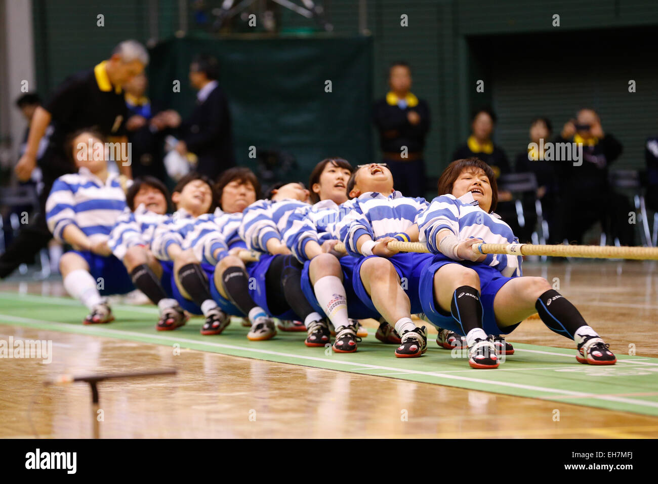Professional tug of war online