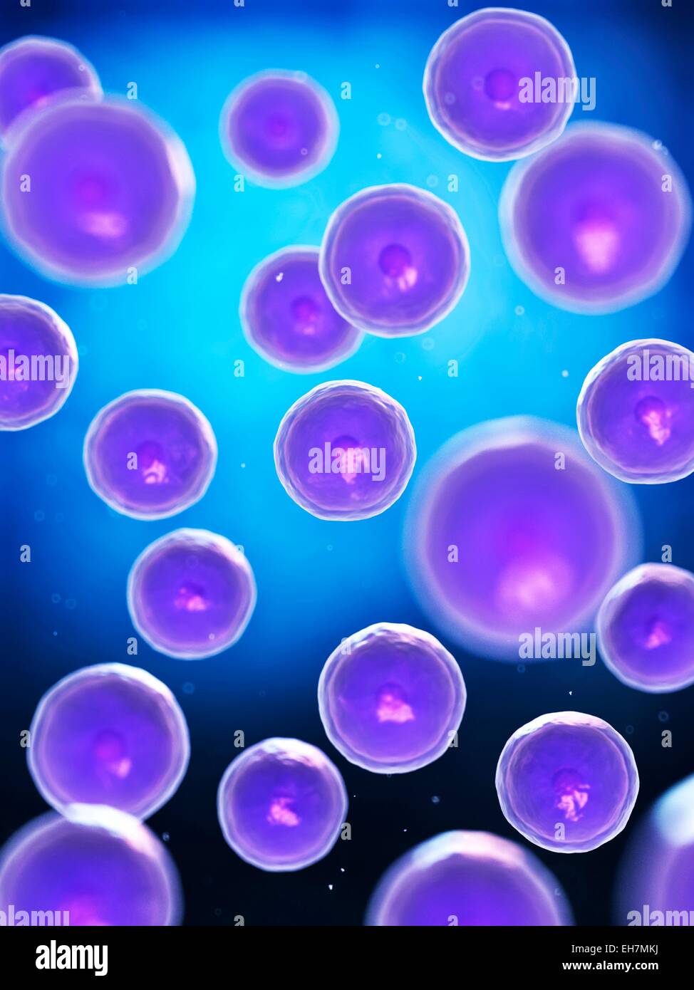 Cells, illustration Stock Photo