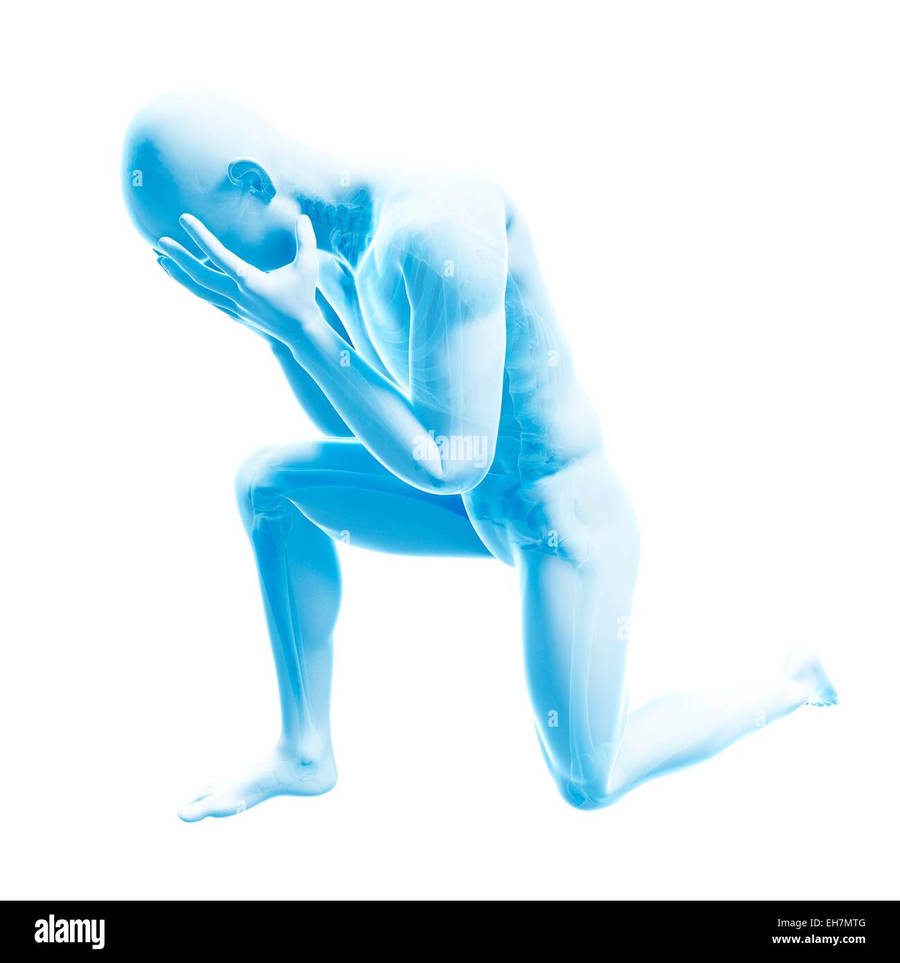 Human anatomy, illustration Stock Photo Biology Diagrams