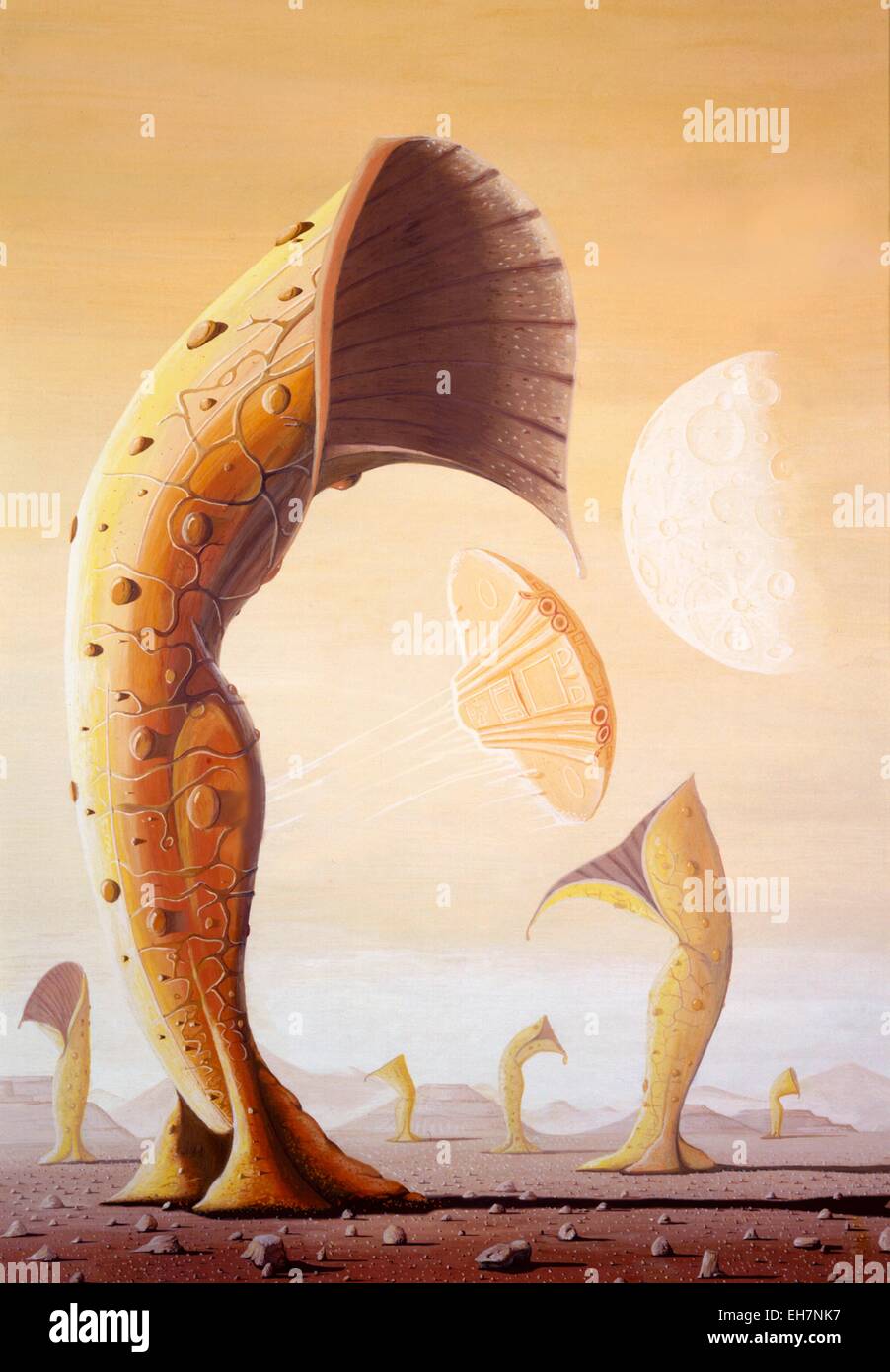 Alien Plants Being Cultivated Stock Photo