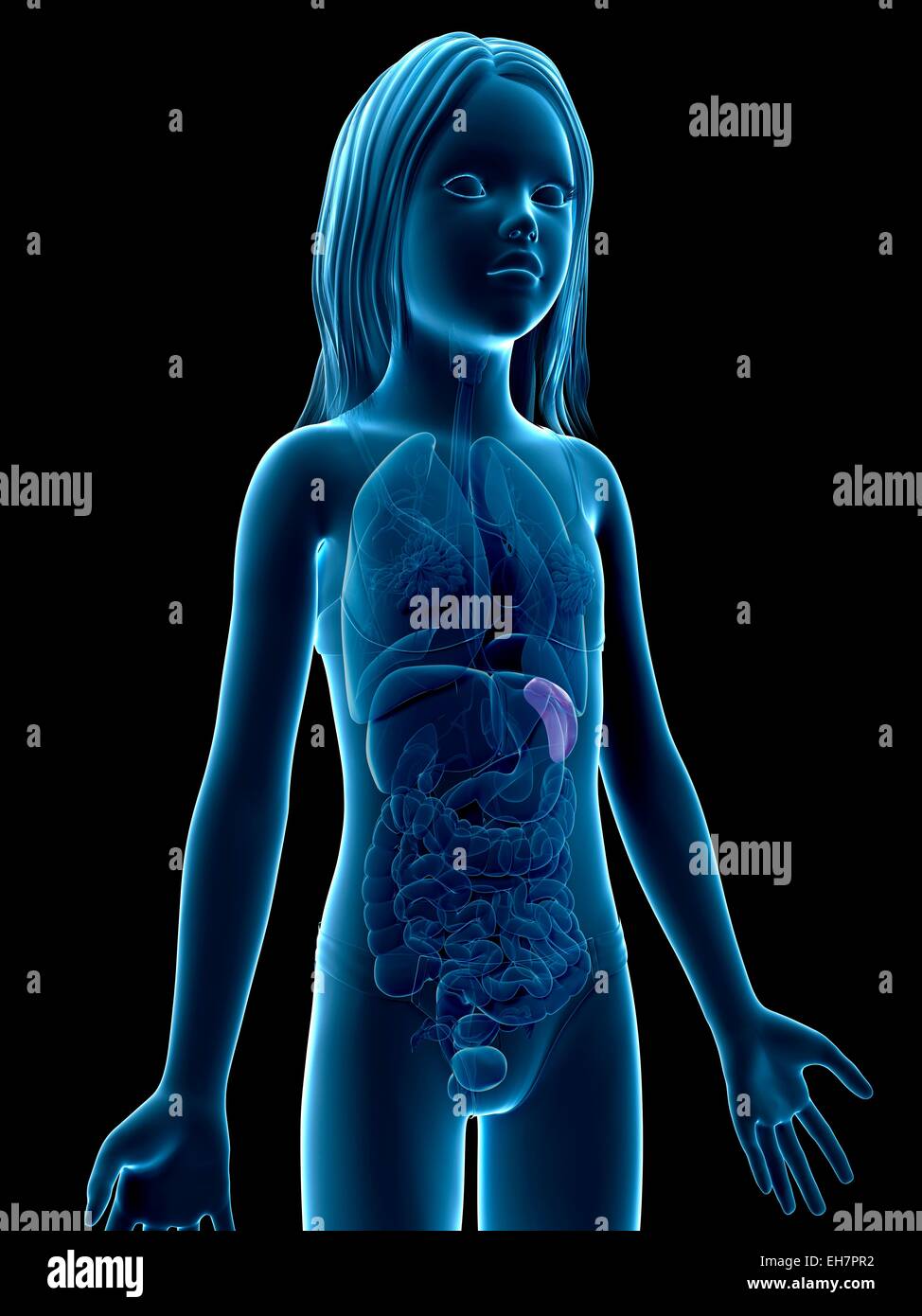 Girl Organism Videos