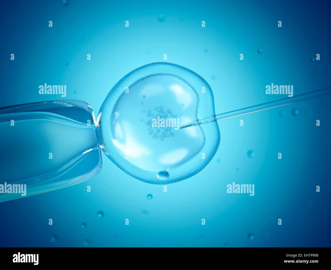 In vitro fertilisation, illustration Stock Photo