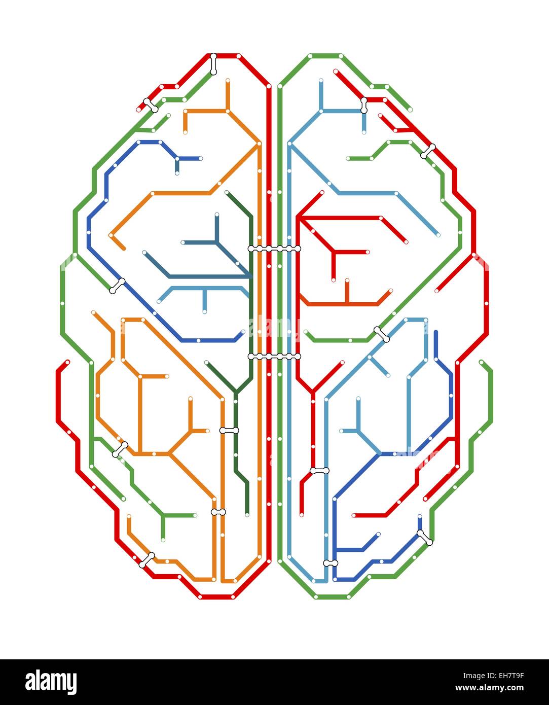 Brain, network diagram Stock Photo