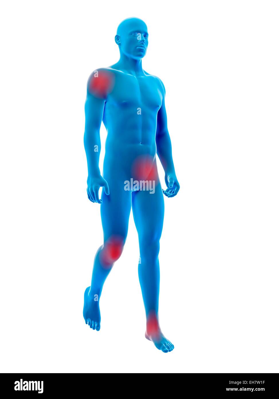 res stock photography and images Biology Diagrams