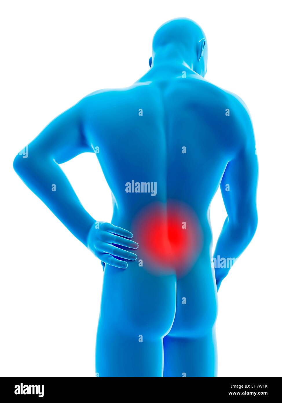 Human back ache, illustration Stock Photo - Alamy