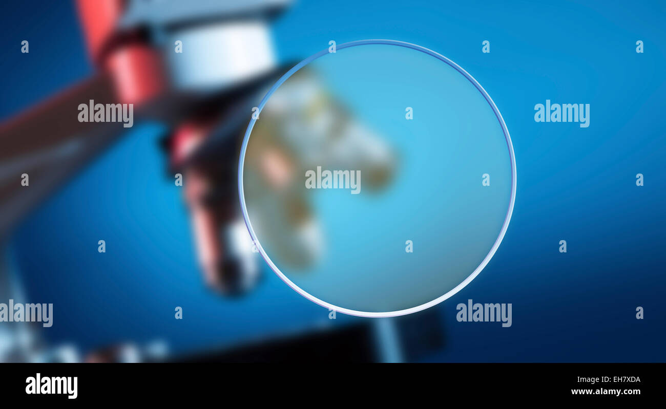 Petri dish with microscope in background Stock Photo - Alamy