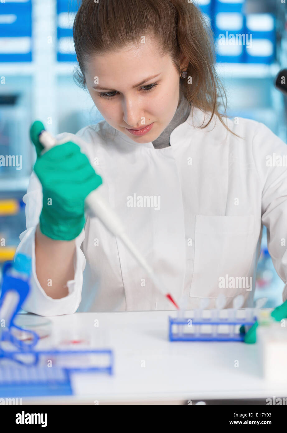 Lab assistant using pipette Stock Photo